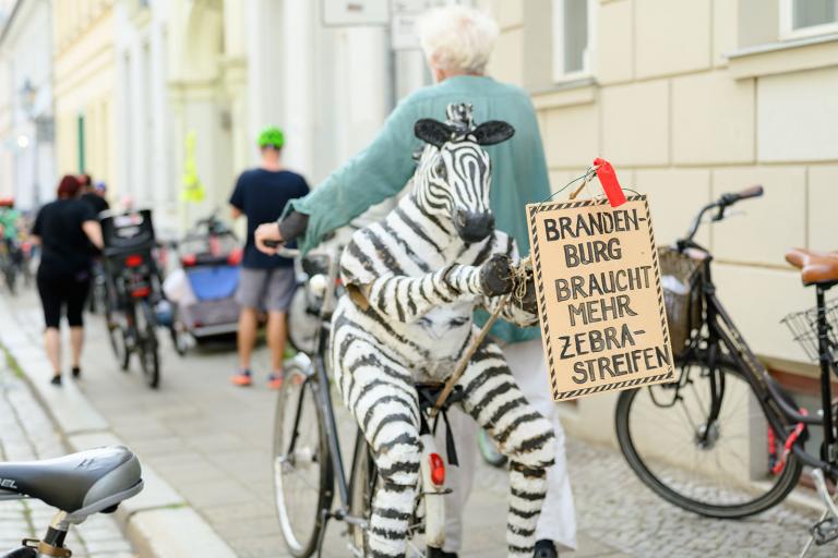 Reportageaufnahme in Brandenburg – Radfahrer im Zebrakostüm wirbt für mehr Zebrastreifen